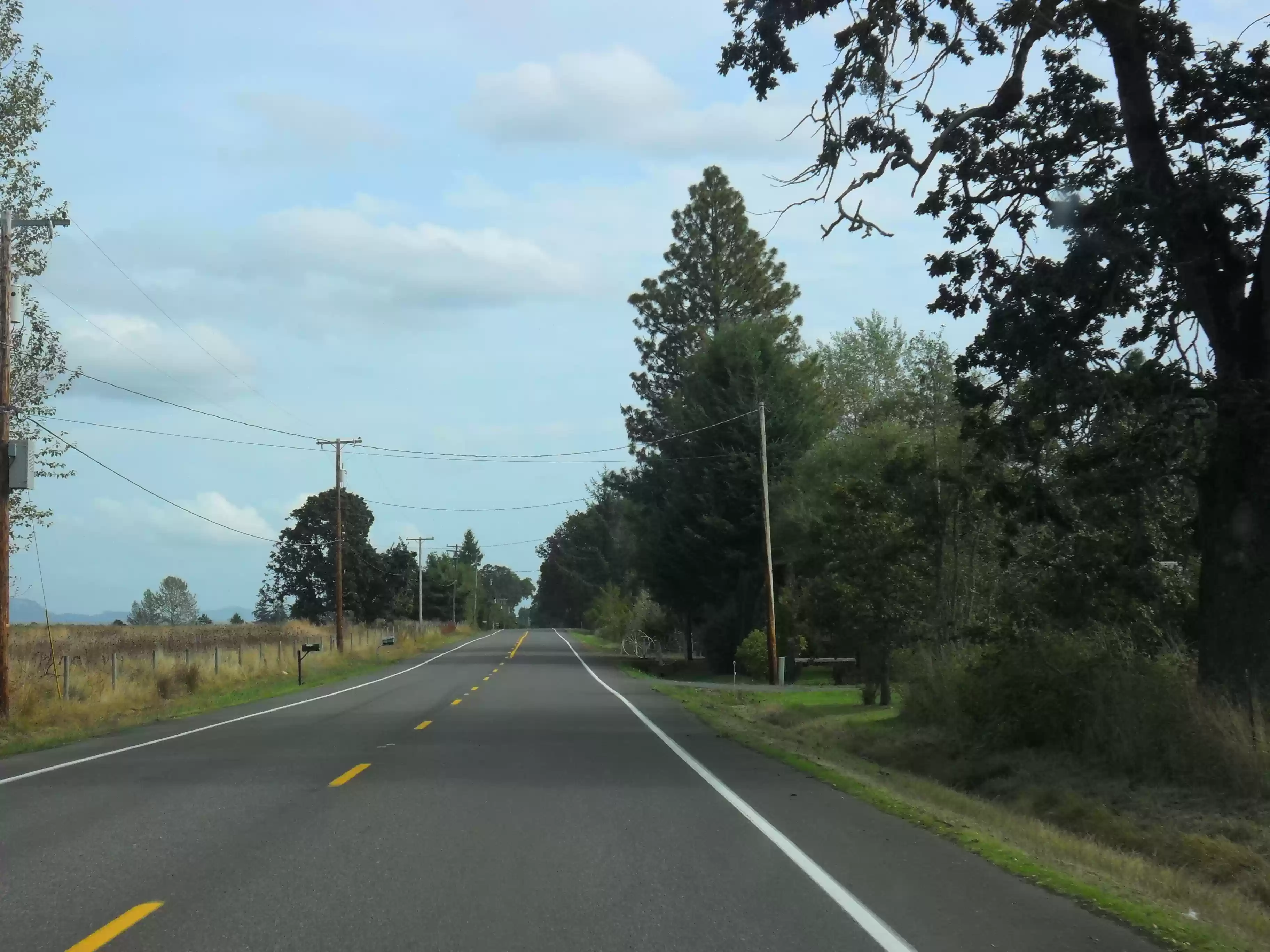 SAM_0592